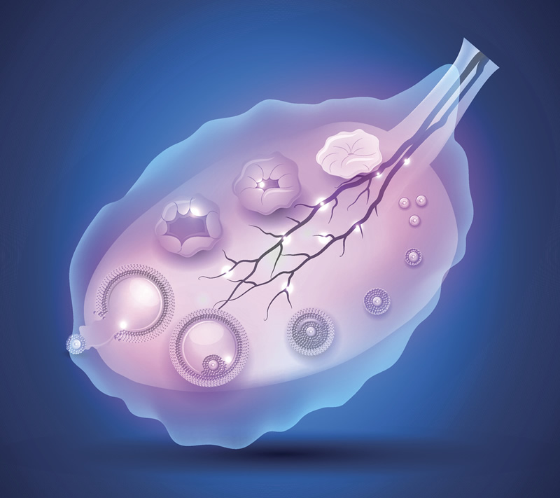 西安试管婴儿医院实力盘点：空军军医大学唐都医院、西北妇女儿童医院等机构受认可，附促排空卵方案与费用明细参考